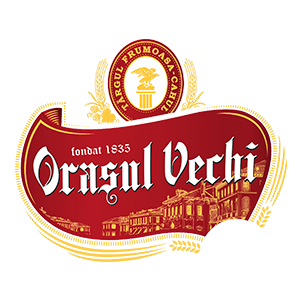 logo_300_orasul_vechi
